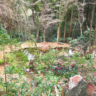 ♡に見えなくもない池·͜·ᰔᩚ😁