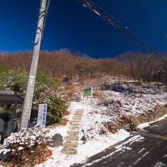 こちらから大音寺山を目指す