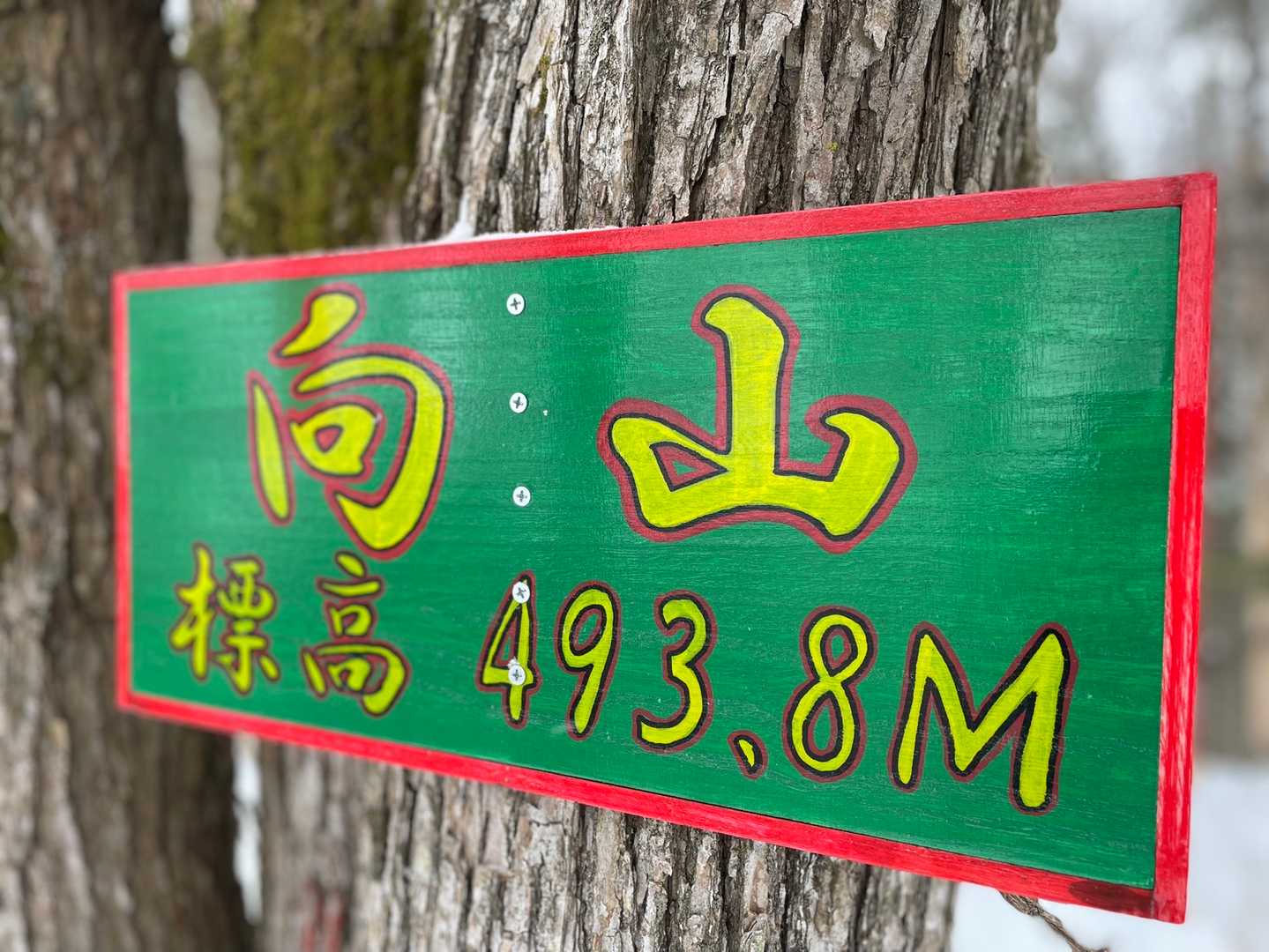 存在感抜群