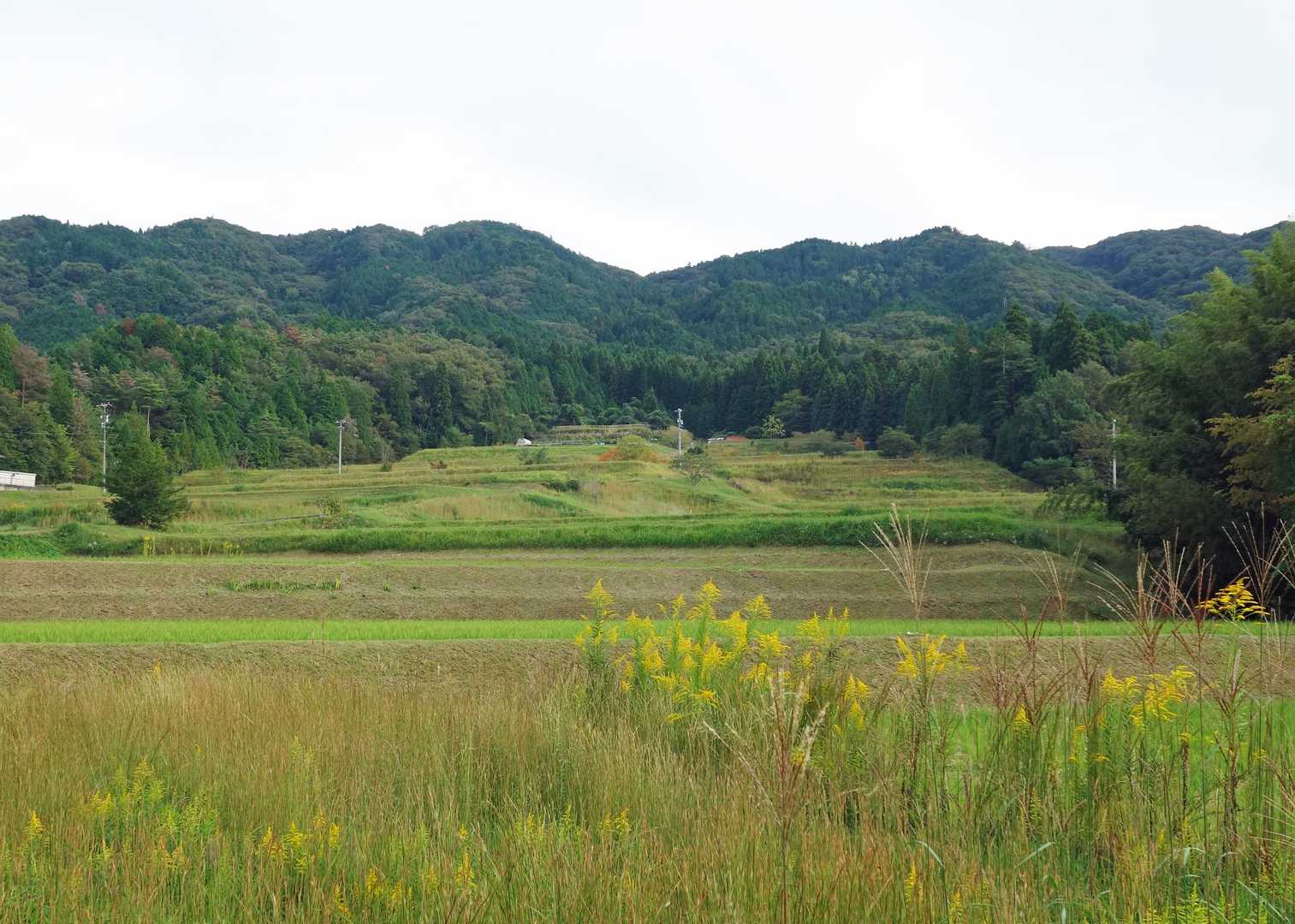 秋の里と山の風景。