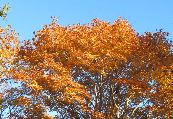 愛知の山 | YAMAP / ヤマップ