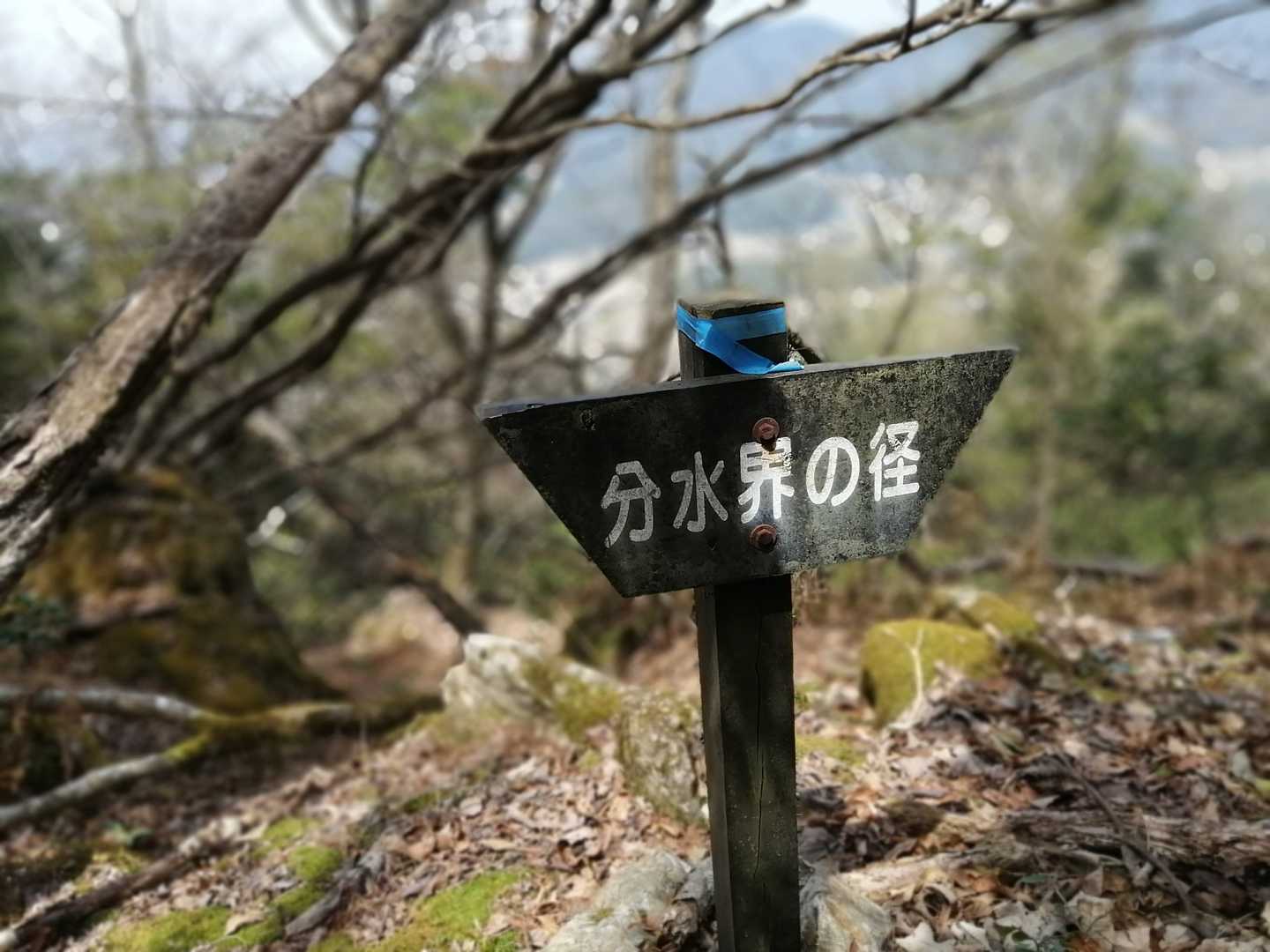 分水界の径
