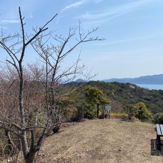 龍王山到着🙌　30分どころか10分ほどで着きました🤣