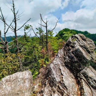蛙岩の背中から古賀志山