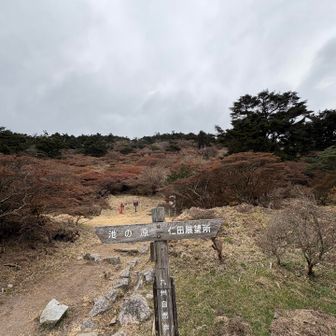 今日はロープウェイ使いませんよ。