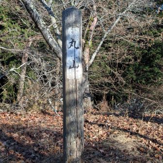 先ほど通ったのとは違う2つ目の丸山🙄