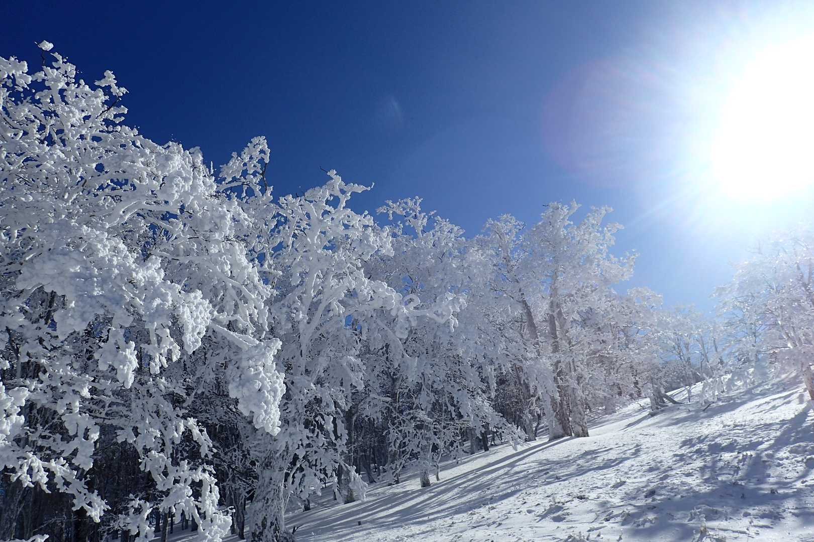 薊岳-前山-東屋 周回コースの写真