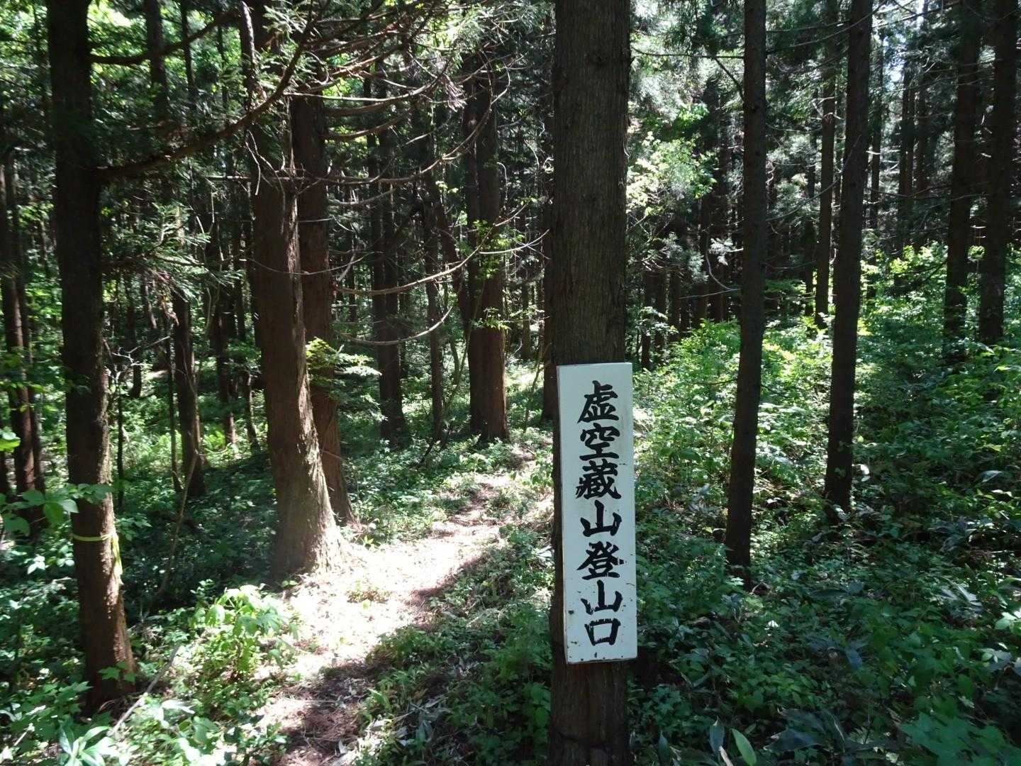 熊野長峰-虚空蔵山 周回コースの写真