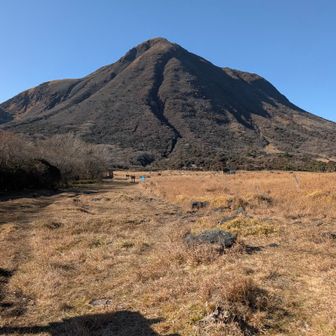 坊ガツルに戻って来ました