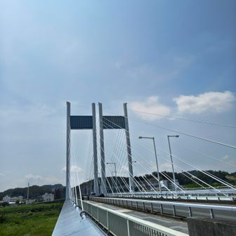 是政橋。羽田に行くか、羽村に行くか、ここで迷った。