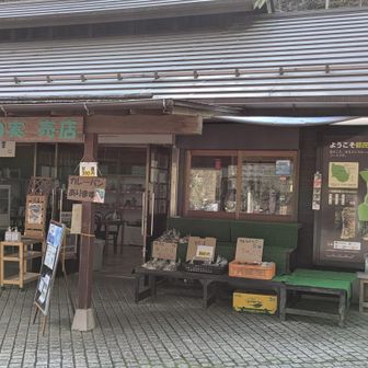 「とちの実売店」でマイタケ（400円）を購入