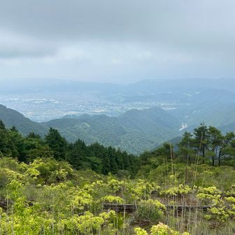 秦野の街も霞んでました@烏尾山