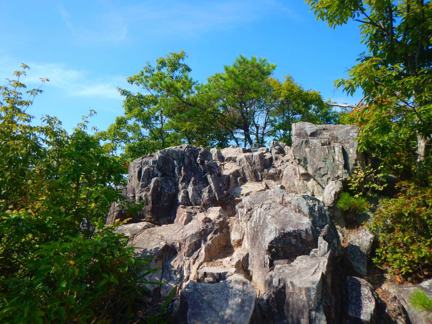 そこから200ｍで太郎坊山の山頂(標高355ｍ)です