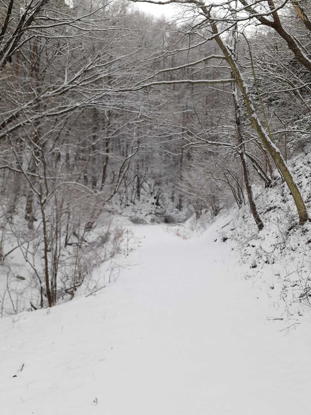 少しずつ雪が増えてきたゾ～😊