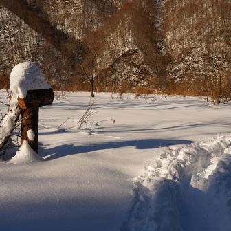 茂倉岳登山口に下山