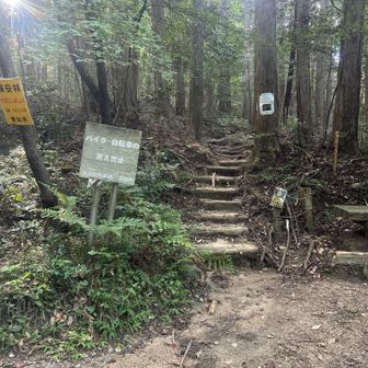登山道の始まり〜🕺🏻