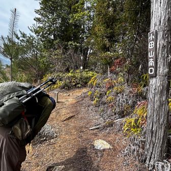 本日もよろしくお願いします