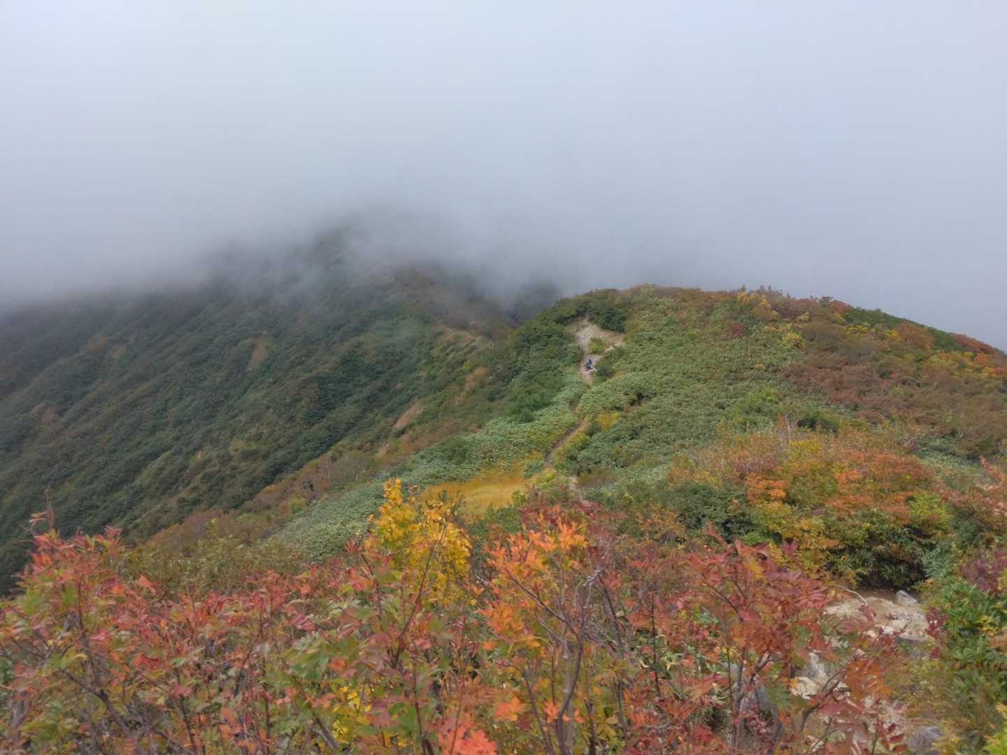 古寺鉱泉登山口-古寺山-小朝日岳 往復コースの写真