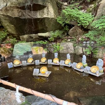 皆さんの投げたお金が沢山あります。