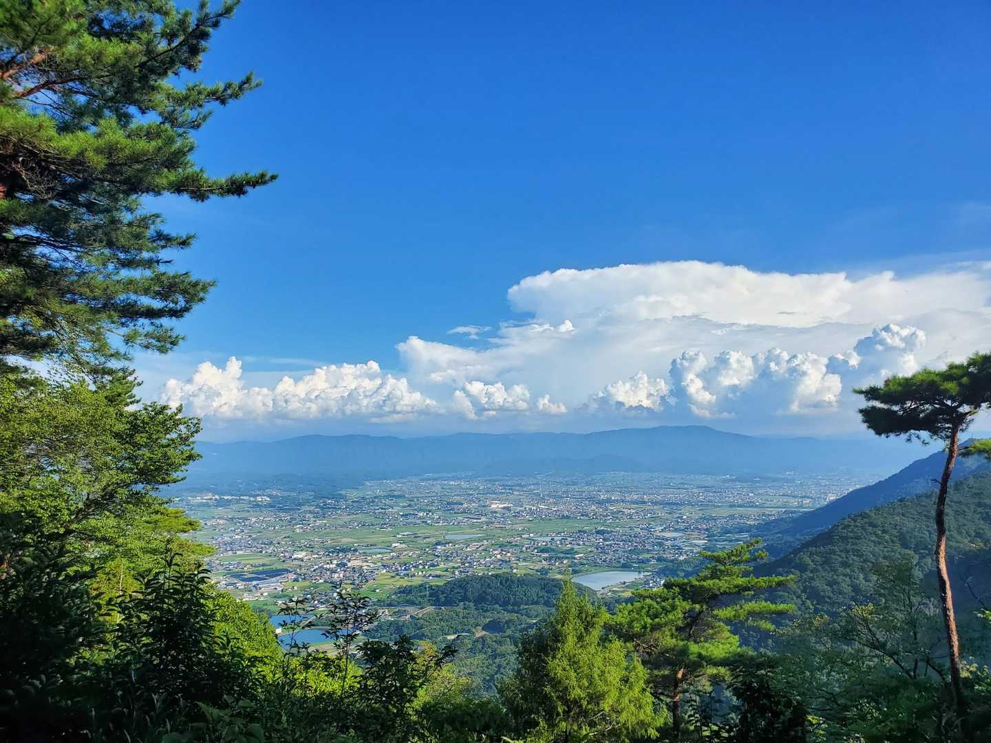 志保山東峰はどこを切り取っても❗いつ来ても最高です‼️part3️⃣
個人的には内地向きが一番好きかもです😄🎶⤴️