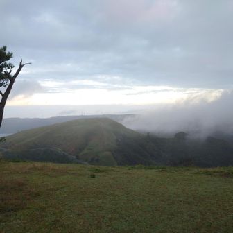 10分くらいでほぼ山頂。あちらの山がさっきまでいた小松ヶ丘。ここから右へ進みます