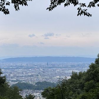 阿武山山頂🗻
高槻市街地がよく見える👀✨️