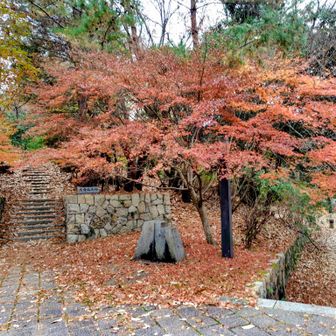 下りてきました