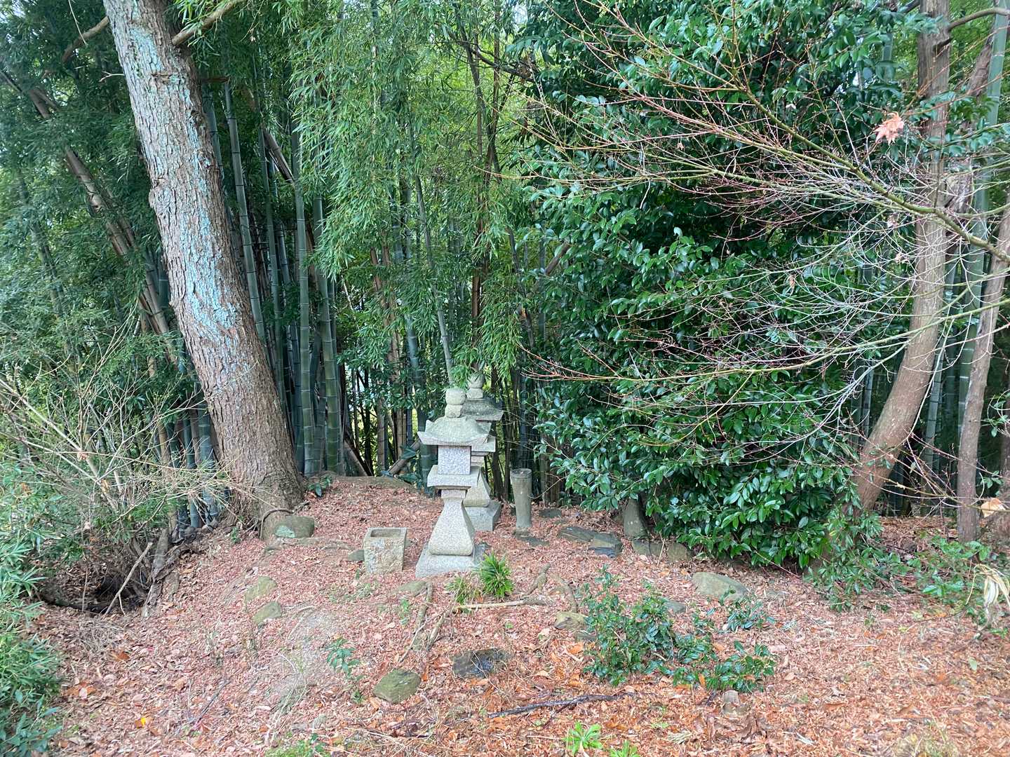 石塔？墓地？
ピークらしきものや、三角点・山銘板見つからず…