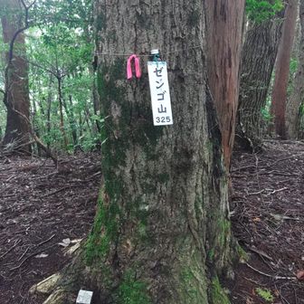 とっとおります