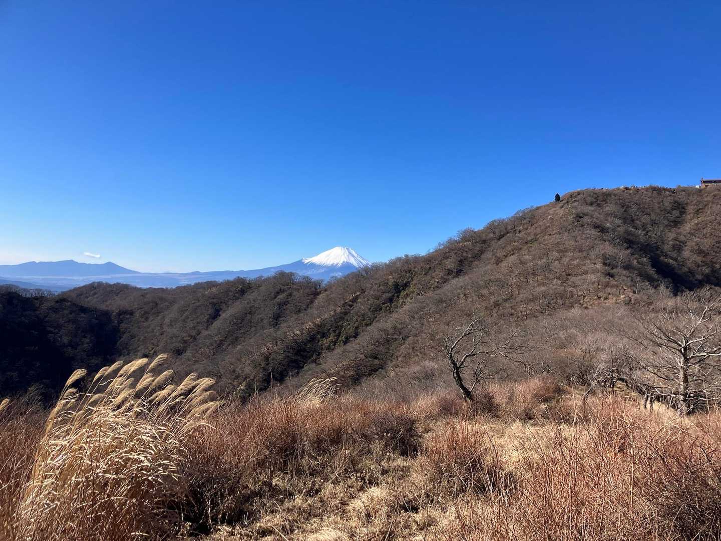 木ノ又大日-塔ノ岳 往復コースの写真
