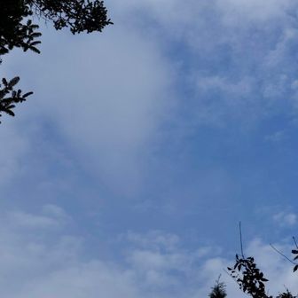 首都展望台からは首都は見えず青空が見えました。
しかし、この後雨が降るという事態