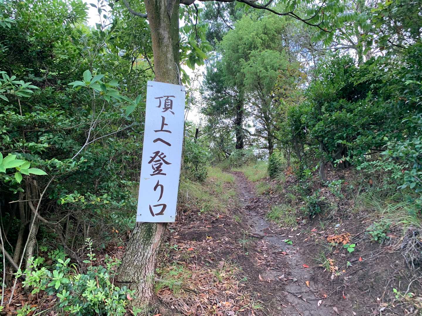 と思ったけど行ってみる。帰りは暗いかな。