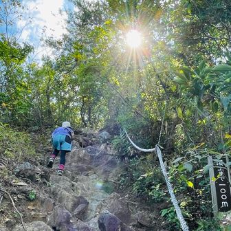 どんどん急登を登る登るちゃげりん。
楽しいねぇ💦ん〜暑い〜☀️🚶