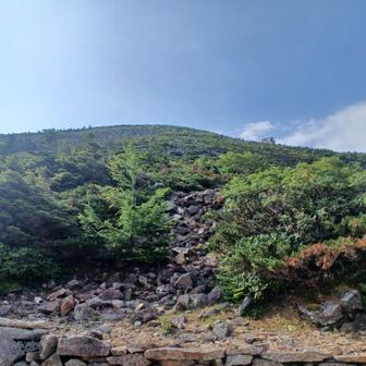 金峰山小屋から山頂を見た感じ。まだもう少し登ります。