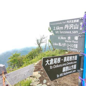 塔ノ岳ではおにぎり半分だけ🍙だってきょうはミヤマ山荘でカレーを食べるから。
丹沢山への道のり、人少なそう😢大丈夫かな…行けるかな…