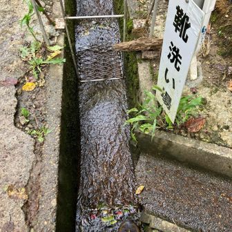 ご丁寧にありがとうございます
