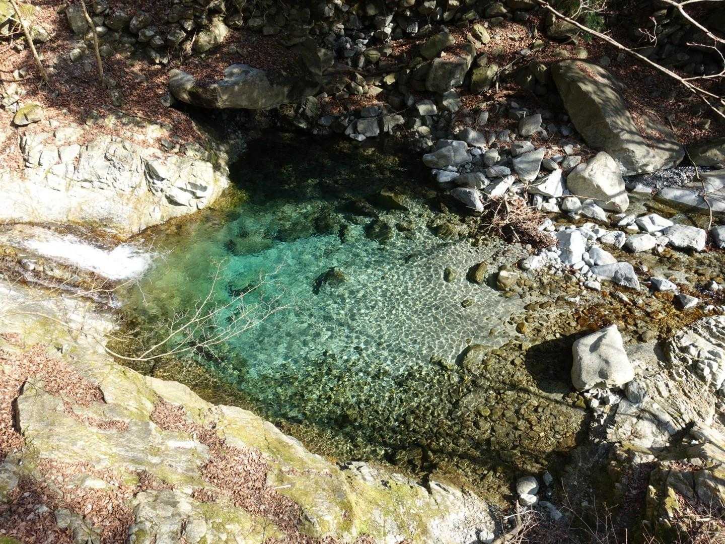 下りて水遊びしたいわ。