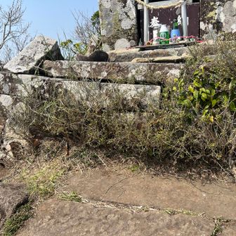 このあとお帰りになられました