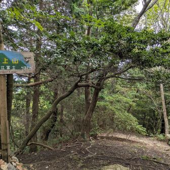 三上山山頂