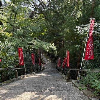 参道を膝の負担を考えながら下って行きます。
最近たまに左足の膝に軽い痛みが出ることがあります。