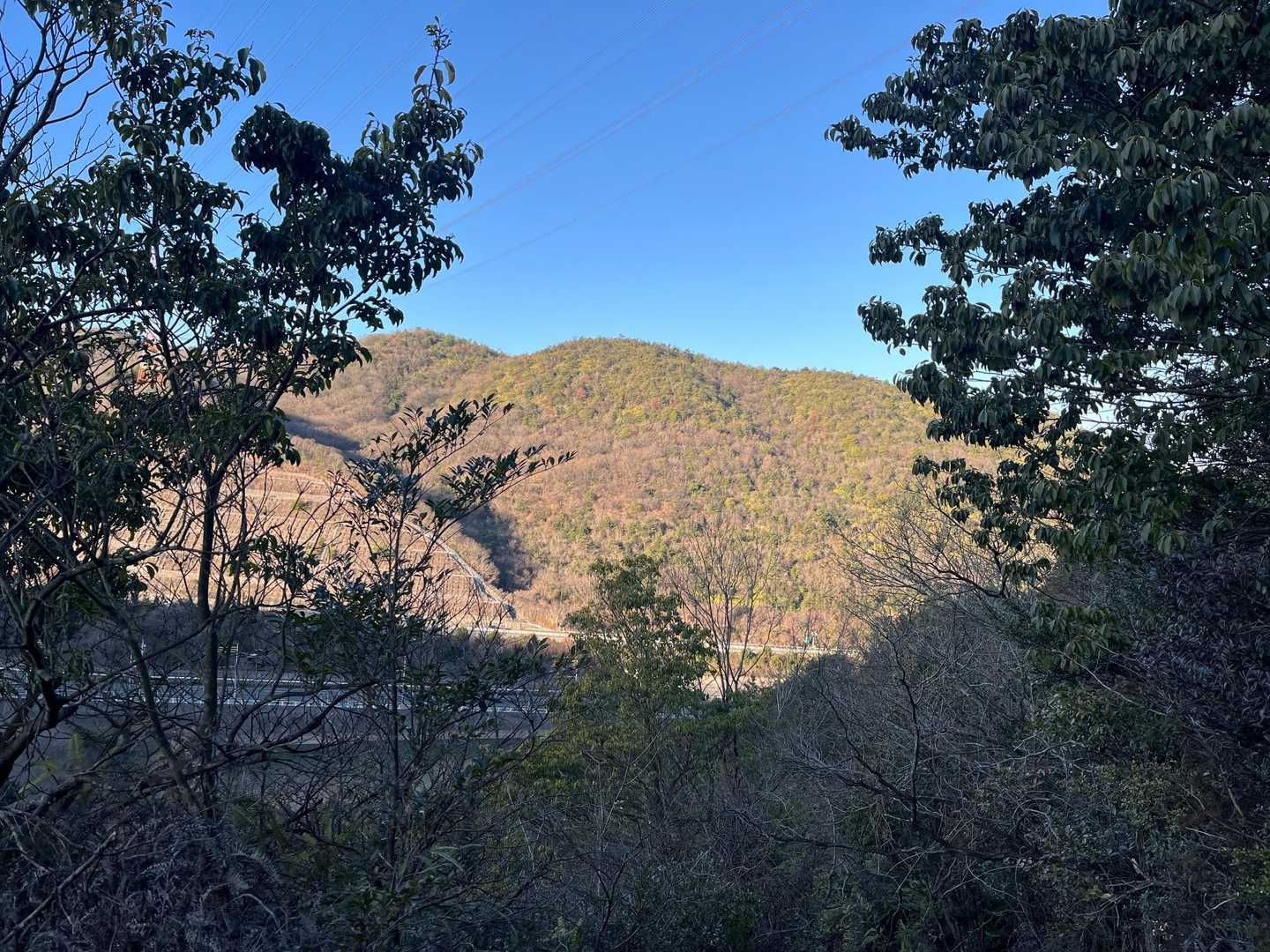 木華佐久耶比咩神社-福南山 往復コースの写真