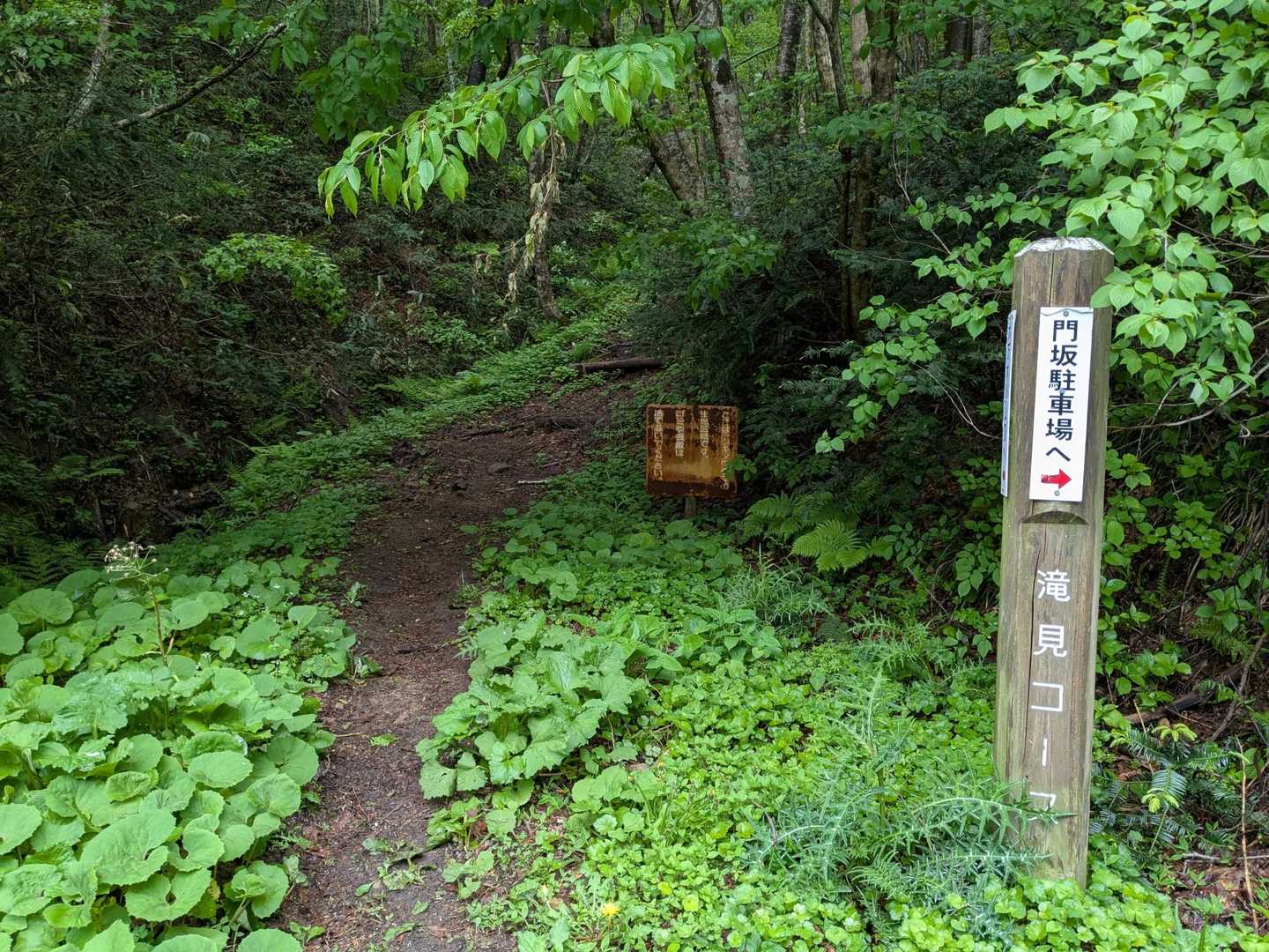登山道へ
