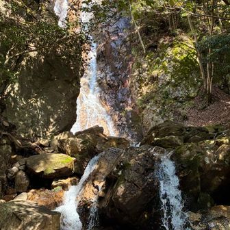 雄滝の下を渡渉し、来た道と谷の反対側を降りかけましたが、道が分からず、危険⚠️だと感じ、また、引き返しました。