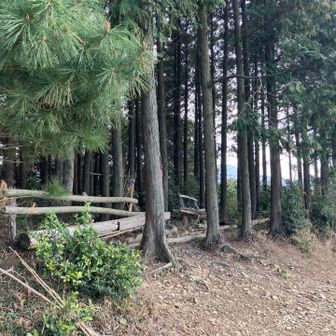 地元愛を感じるとっておきの場所
ここでおにぎりタイム
さて景色は〜✨
😉