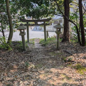 ここから町に降りて長いロード歩き
長々と歩いた県道105号線は今日唯一の楽しくないパートでした😑