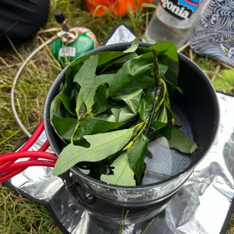 クロモジノのお茶🍵
濃いめのハーブティー🌿
疲労回復があるとの事！

シェフより笑