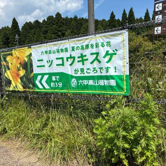 帰り道で^ ^
