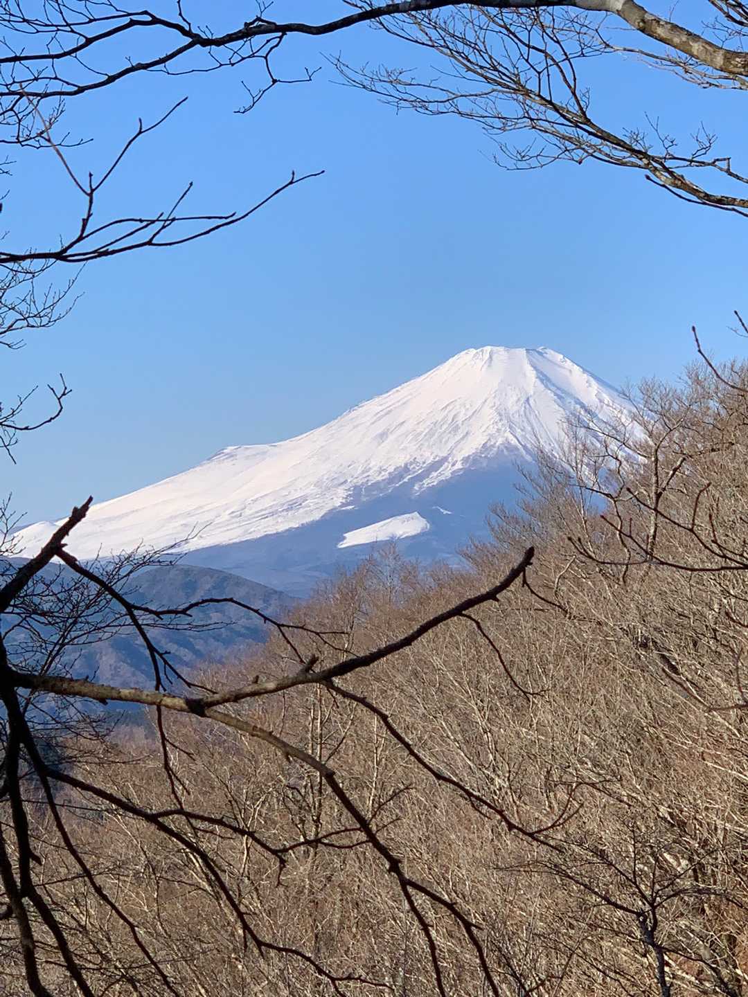 そして❤️ご褒美✨✨