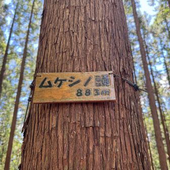 　ムケシノ頭、883m
　人里峠（へんぼりとうげ）の少し東側、杉林の中にあるピーク。