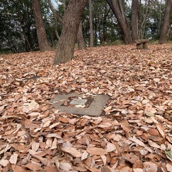 西の山山頂 島田四等三角点（標高60.1m）
